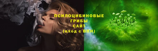 бошки Медногорск