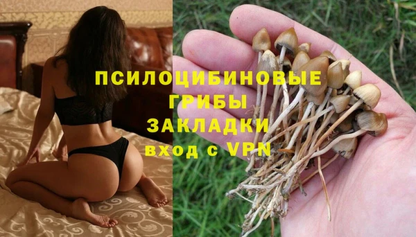 ГАЛЛЮЦИНОГЕННЫЕ ГРИБЫ Костерёво