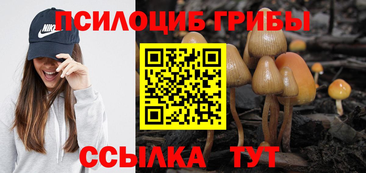 Жуковский  Галлюциногенные грибы MAGIC MUSHROOMS  Вход с VPN 