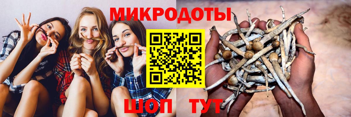 Галлюциногенные грибы Psilocybe Жуковский