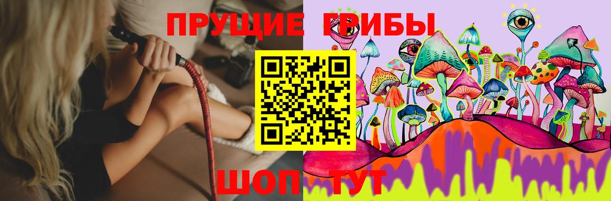 Псилоцибиновые грибы мицелий  где можно купить наркотик  Жуковский 